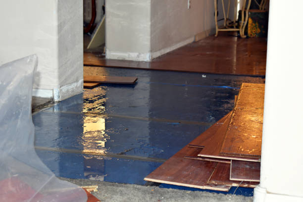 Professional Water Damage technician working in Bellville, TX