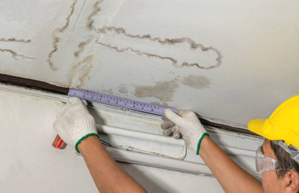 Reliable Water Damage contractor in Bellville, TX by Water Damage Irwin